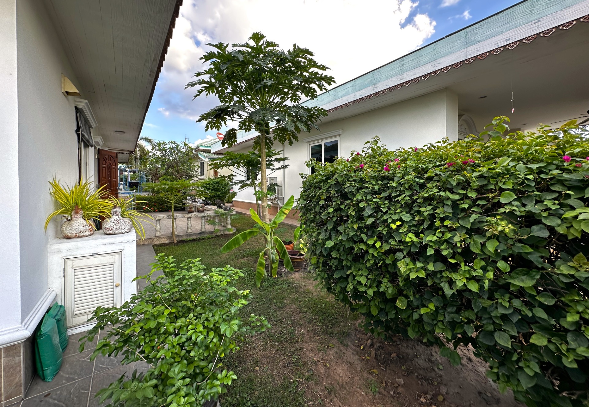 Mycket olika tropiska fruktträd och buskar på tomten